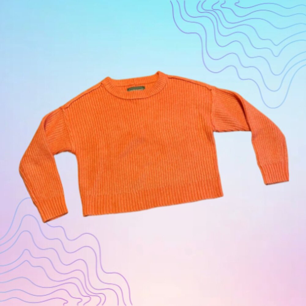 AMERICAN EAGLE Orange Crop Sweater